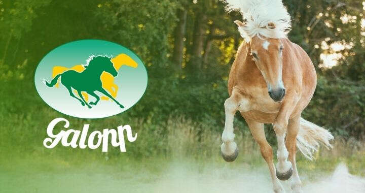 banner galopp pferdefutter 720x380px